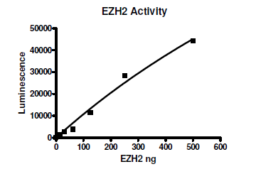 EZH2 chemiluminescent assay kit