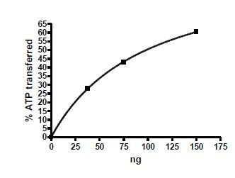 TRKA, active human recombinant protein