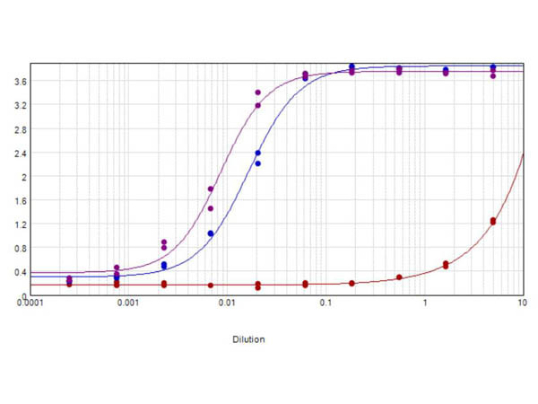 Anti-Mouse IgG (H&amp;L) [Donkey] Biotin conjugated