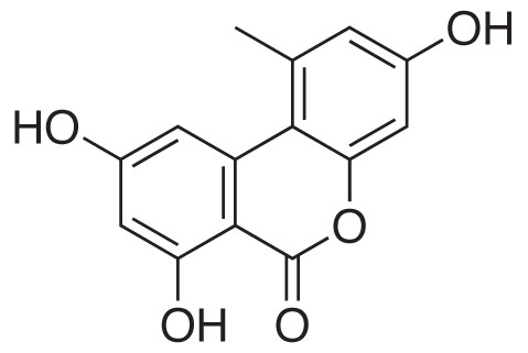 Alternariol
