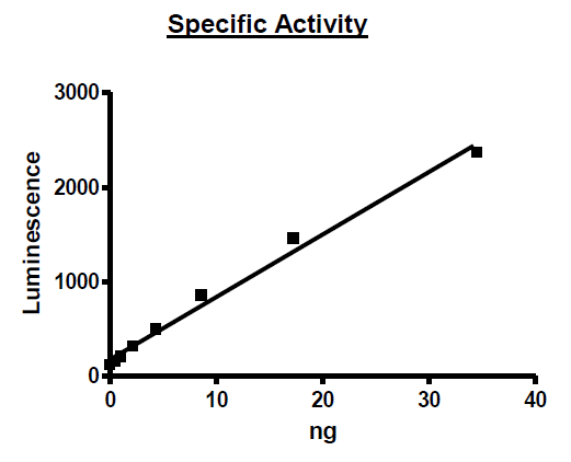 ACC-2, active human recombinant protein