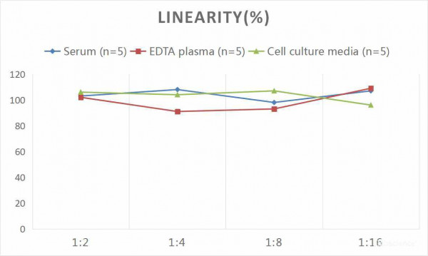 Human ADP/Acrp30 (Adiponectin) CLIA Kit