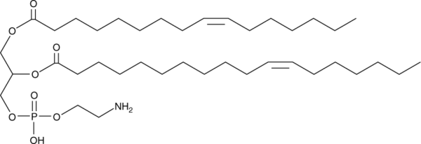 1-Palmitoleoyl-2-vaccenoyl-rac-glycero-3-phosphoethanolamine