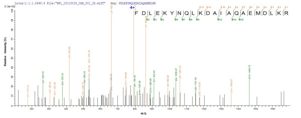 Calcium uniporter protein, mitochondrial (Mcu), mouse, recombinant