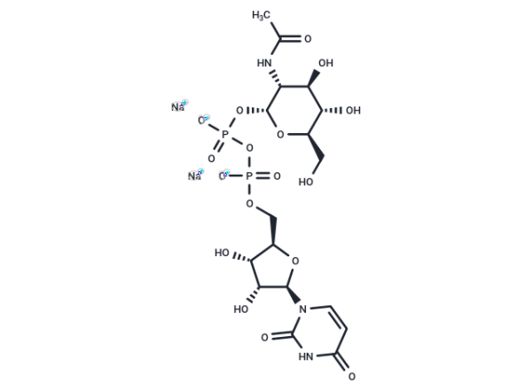 UDP-GlcNAc Disodium Salt