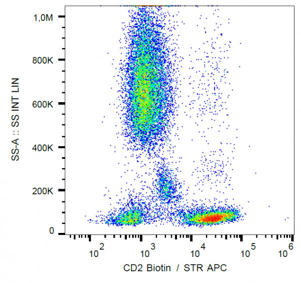 Anti-CD2, clone MEM-65 (Biotin)