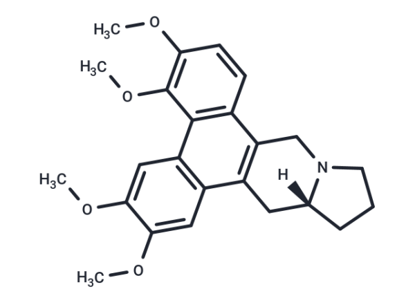 Tylocrebrine