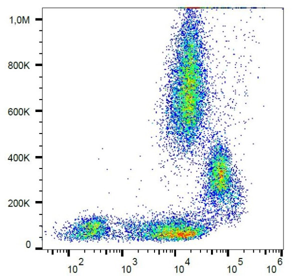 Anti-CD31, clone MEM-05 (PE)