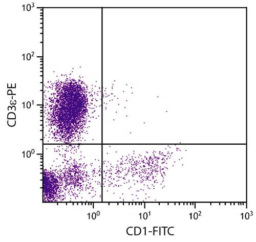 Anti-CD1 (FITC), clone 76-7-4
