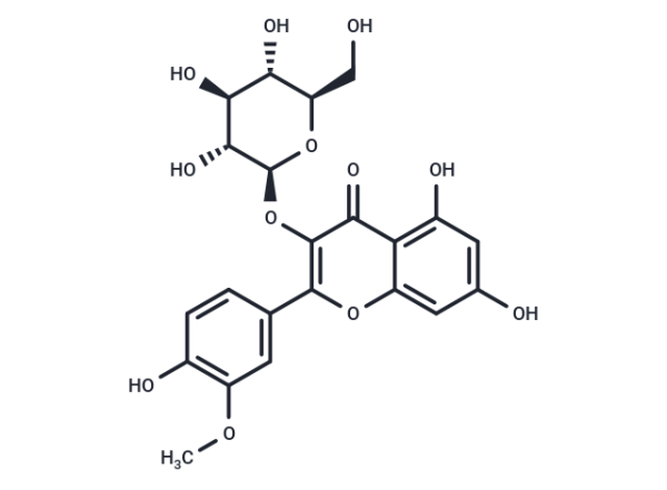 Isorhamnetin-3-O-glucoside
