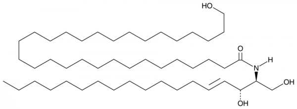 C30(omega-hydroxy) Ceramide (d18:1/30:0)