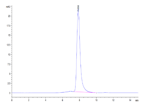 LIF hFc Chimera, Mouse