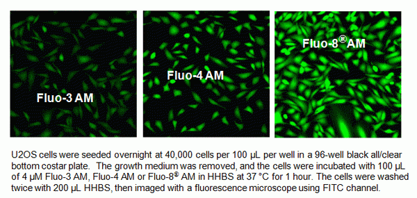 Fluo-8FF(TM), AM