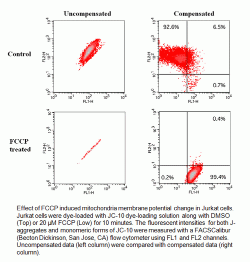 Cell Meter(TM) JC-10 Mitochondrial Membrane Potential Assay Kit *Optimized for Flow Cytometry Assays