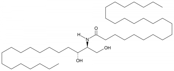 C24 dihydro Ceramide (d18:0/24:0)