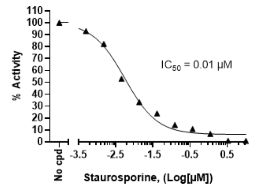 Chemi-Verse(TM) CLK3 Kinase Assay Kit