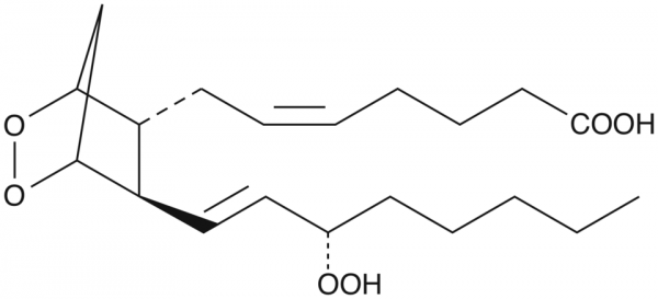 Prostaglandin G2