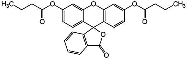 Fluorescein dibutyrate