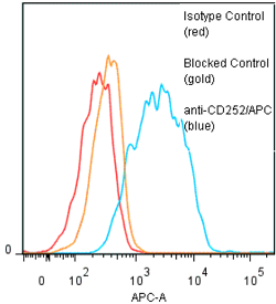 Anti-CD252 [OX40L] (human), clone ANC10G1 (APC)