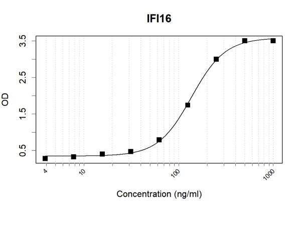 Anti-Human IFI16 Antibody Pair
