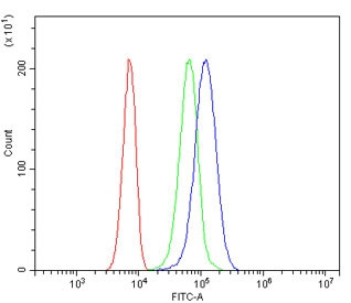 Anti-MPI / Mannose Phosphate Isomerase, clone 11I4