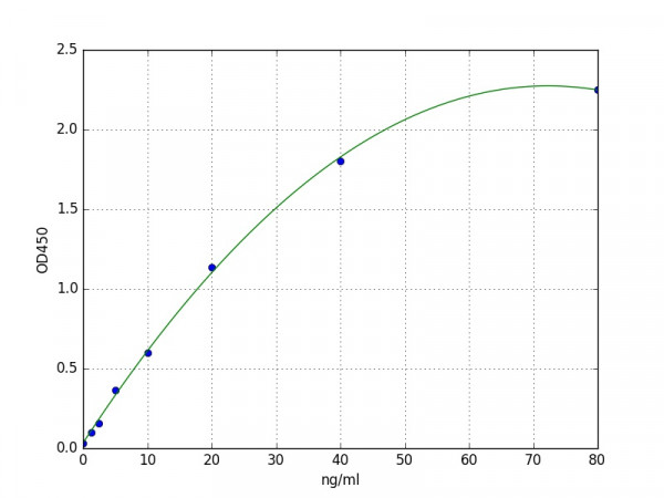 Mouse DNASE1 ELISA Kit