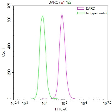 Anti-DARC Recombinant Monoclonal, clone 18B11