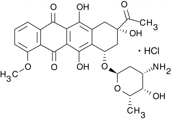 Daunorubicin, Hydrochloride Salt