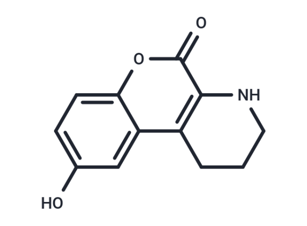 CID-797718