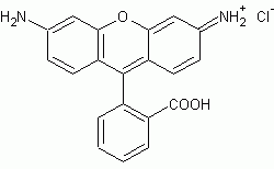Rhodamine 110 *Fluorescence reference standard* | CAS 13558-31-1 | AAT ...