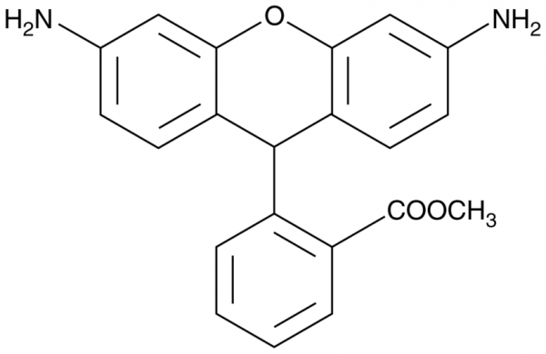 Dihydrorhodamine 123