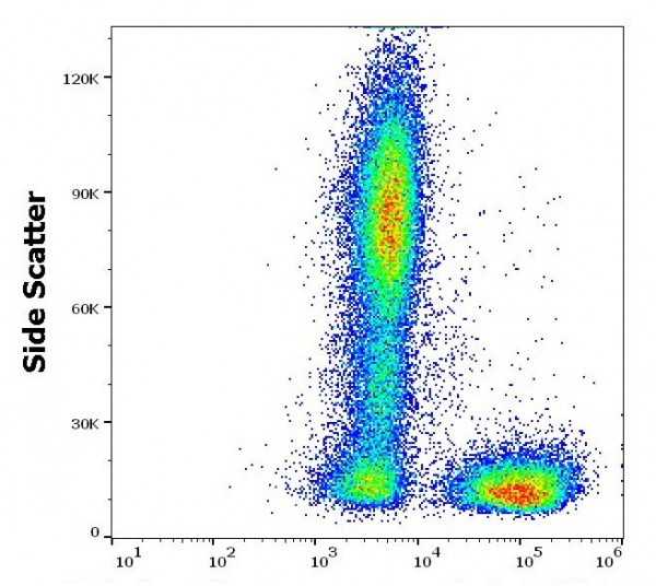 Anti-CD3, clone MEM-57 (low endotoxin)