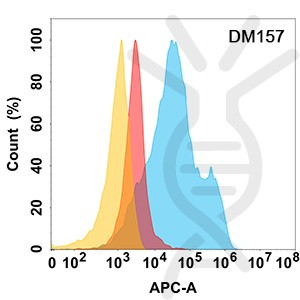 Anti-MICA antibody(DM157), Rabbit mAb