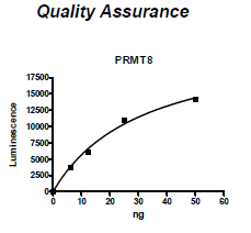 PRMT8, active human recombinant protein