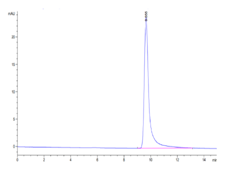 FGF10[Biotin], Human