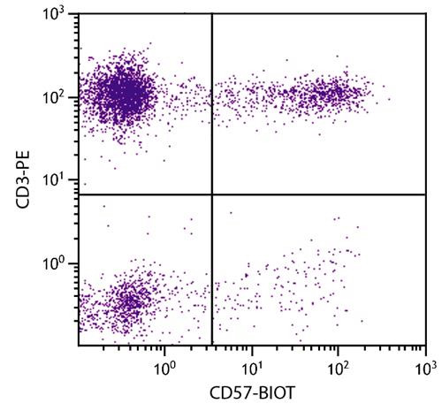 Anti-CD57 (Biotin), clone NK-1