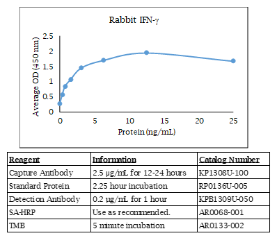 Anti-IFN (rabbit) gamma Pab, Biotin conjugated