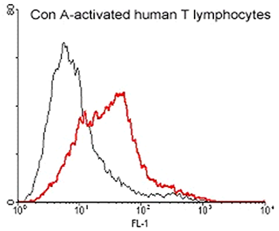 Anti-CD137 (human)