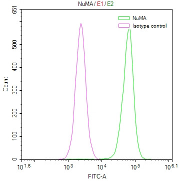 Anti-NUMA1 Recombinant Monoclonal, clone 12A11