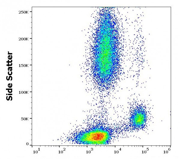 Anti-CD64 / FcgammaRI, clone 10.1 (low endotoxin)