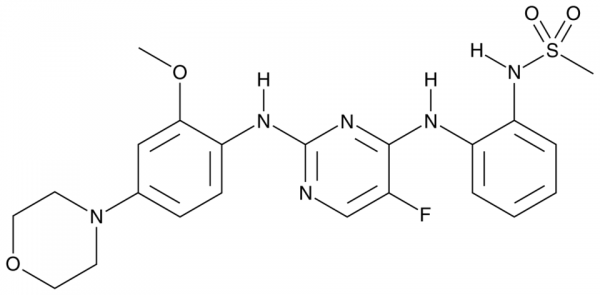 CZC-25146