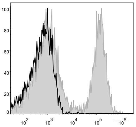 Anti-Mouse CD19 (APC Conjugated)[1D3], clone 1D3
