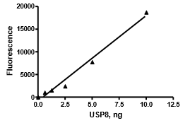 USP8 (UBPY), active human recombinant protein, N-terminal FLAG-tag