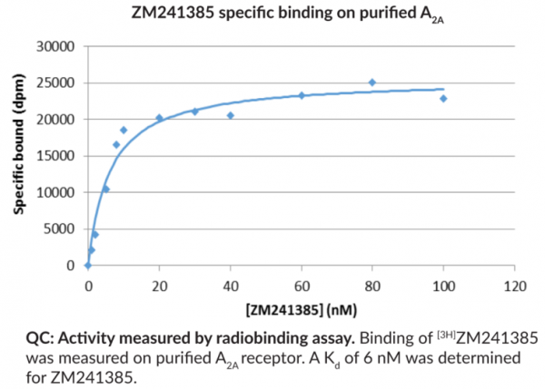Adenosine A2A Receptor (human recombinant)