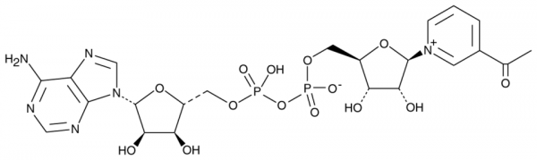 3-Acetylpyridine NAD