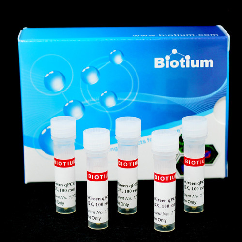 Fast Plus EvaGreen(R) qPCR Master Mix