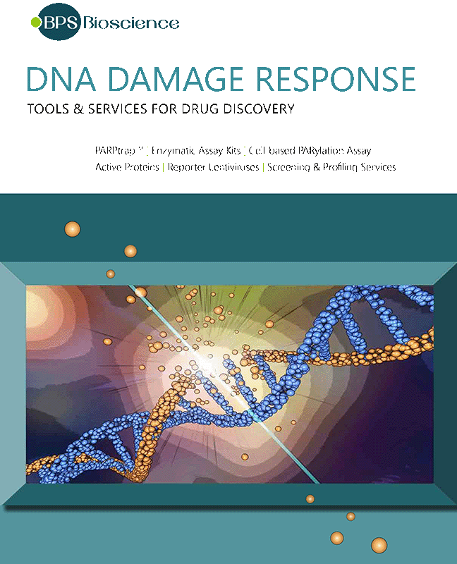 DNA Damage Response