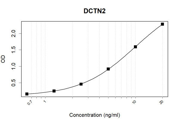 Anti-Human DCTN2 Antibody Pair