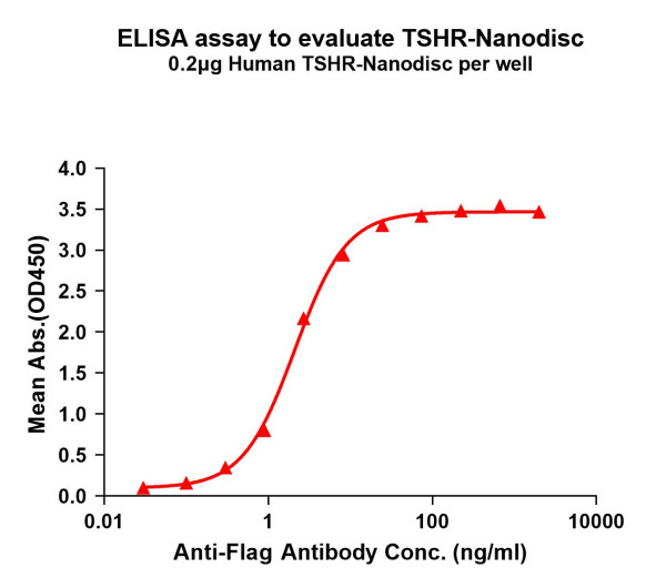 TSHR (human) full length protein-synthetic nanodisc