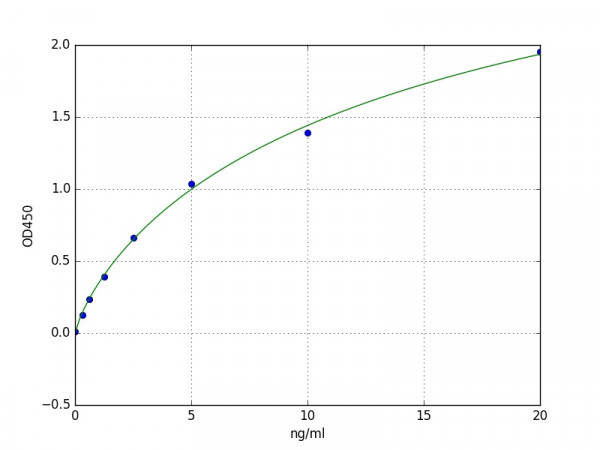 Human SDCBP / Syntenin-1 ELISA Kit
